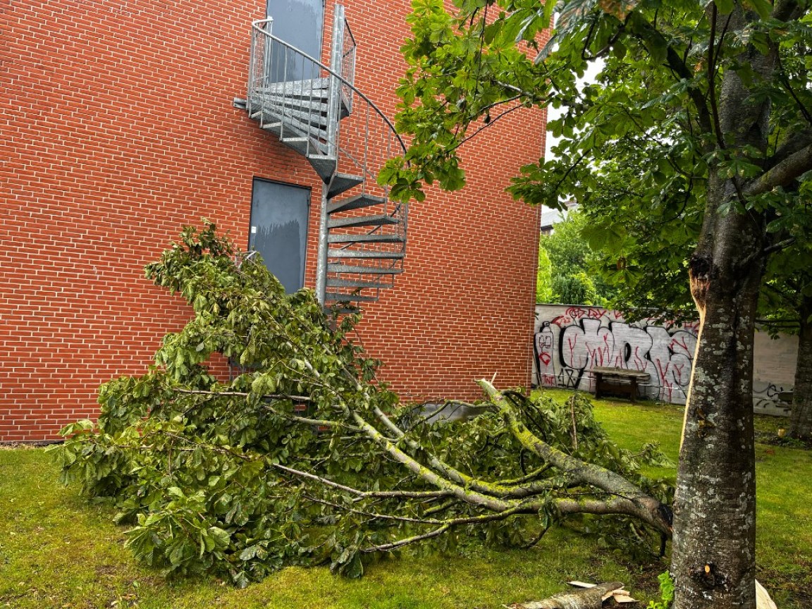 Andet grønt arbejde