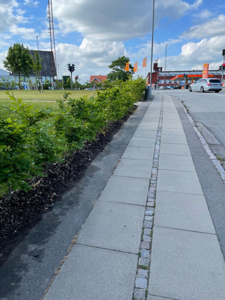 Fortov og bed efter renhold
