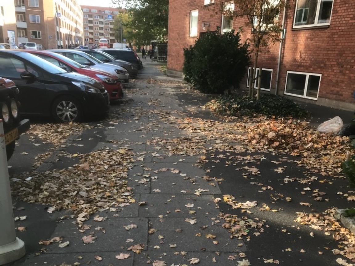 Sæsonopgaver efter behov