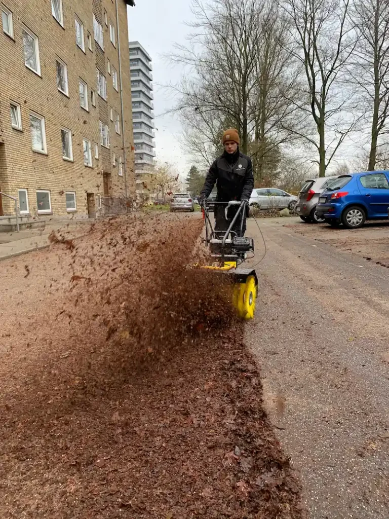Grønne arealer: 5 greb til en velplejet udeplads