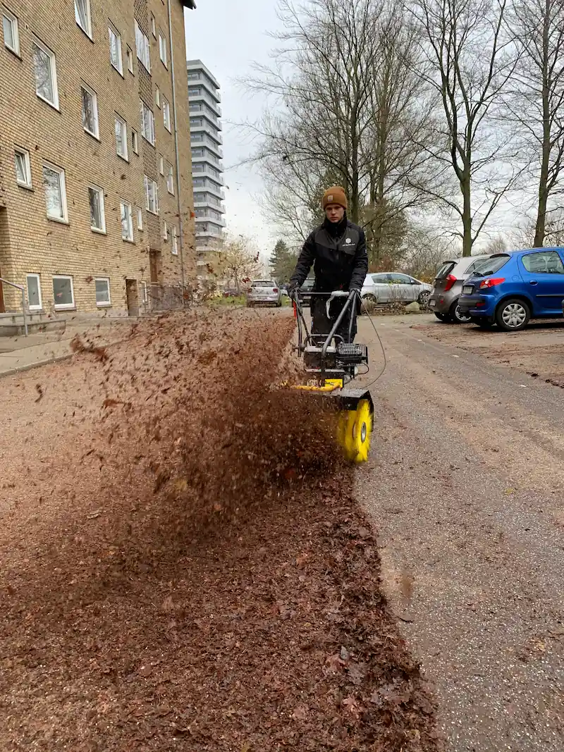 Grønne arealer: 5 greb til en velplejet udeplads